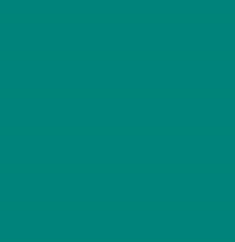 PMS327 Teal GLOSS Pantone Custom Spray Paint 300 Grams