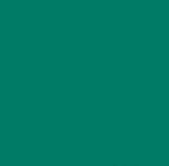 PMS335 Pantone Custom Spray Paint