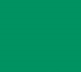 PMS340 Pantone Custom Spray Paint