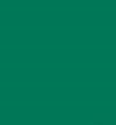 PMS341 Green Gloss Pantone Custom Spray Paint 300 Grams