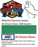 PMS343 Pantone Green Gloss 2K Direct Gloss Custom Spray Paint 300 Grams