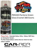 PMS343 Pantone Green Gloss Enamel  Custom Spray Paint 300 Grams