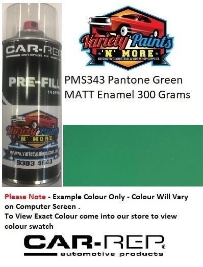 PMS343 Pantone Green MATT Enamel  Custom Spray Paint 300 Grams