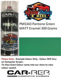 PMS343 Pantone Green MATT Enamel  Custom Spray Paint 300 Grams