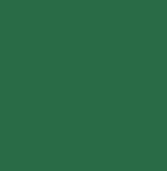 PMS348 Pantone Green Satin Enamel Custom Spray Paint 300 Grams
