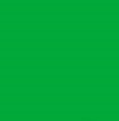 PMS354 Pantone Custom Spray Paint
