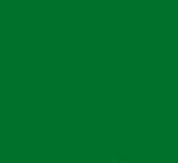 PMS356 Green Pantone Gloss Enamel Custom Spray Paint 300 Grams