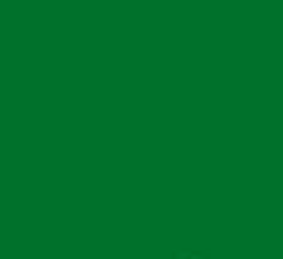 Pms Code 356 PMS356 Green Pantone Gloss Enamel Custom Spray Paint 300 Grams