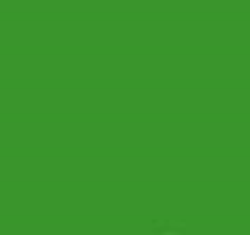 PMS362 Pantone Custom Spray Paint