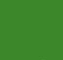 PMS363 Pantone Custom Spray Paint