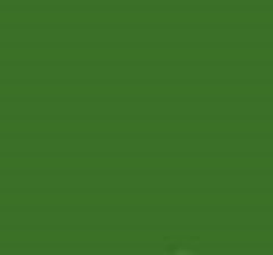 PMS364 Pantone Custom Spray Paint