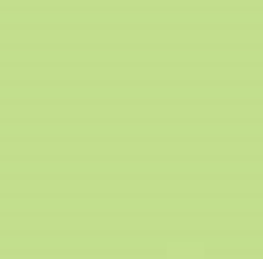 PMS366 Grass Green Gloss Enamel Pantone Custom Spray Paint 300 Grams (S2304)