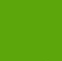 PMS369 Green Pantone Custom Spray Paint Gloss Enamel 300 Grams
