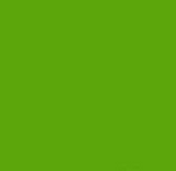 PMS369 Green Pantone Custom Spray Paint Gloss Enamel 300 Grams