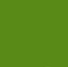 PMS370 Pantone Custom Enamel Satin Spray Paint 300 Grams