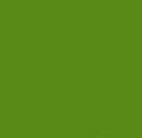 PMS370 Pantone Mint Green Custom Enamel Gloss Spray Paint 300 Grams