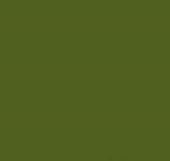 PMS371 Pantone Custom Spray Paint