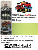 PMS372 Green MATT Enamel Pantone Custom Spray Paint 300 Grams  