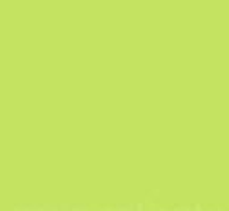 PMS374 Lime Green Pantone Custom Gloss Enamel Spray Paint 300 Grams