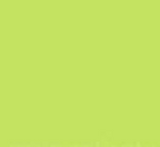 PMS374 Lime Green Pantone Custom Gloss Enamel Spray Paint 300 Grams