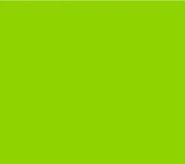 PMS375 Pantone 2K Direct Gloss Custom Spray Paint 300 Grams