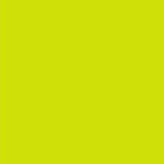 PMS389 Pantone Custom GLOSS Spray Paint 300 Grams