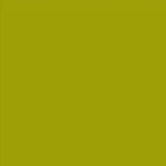 PMS391 Pantone Custom Spray Paint