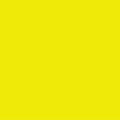 PMS3945 Pantone Custom Enamel Spray Paint 300 Grams