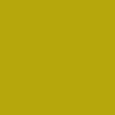 PMS3975 Pantone Custom Spray Paint