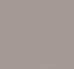 PMS408 Pantone Custom Spray Paint