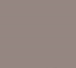 PMS409 Pantone Custom Spray Paint