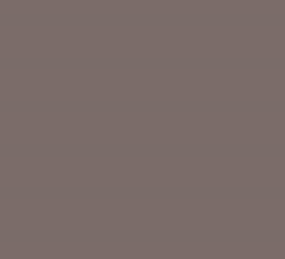 PMS410 Brown Gloss Enamel Pantone Custom Spray Paint 300 Grams