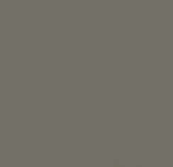 PMS417 Pantone Custom Spray Paint