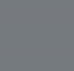 PMS424 EMRC Grey Pantone Custom Spray Paint 200ML 18S5101
