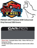 PMS425 GREY Colourcoat Vinyl Aerosol 300 Gram