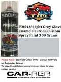 PMS428 Light Grey Gloss enamel Pantone Custom Spray Paint 300 Grams