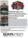 PMS428 Light Grey MATT enamel Pantone Custom Spray Paint 300 Grams