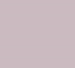 PMS435 Pantone Custom Spray Paint
