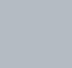 PMS442 Grey SATIN Enamel Pantone Custom Spray Paint 300 Grams