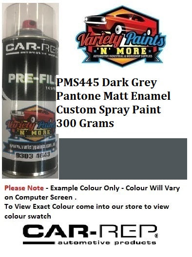 PMS445 Dark Grey Pantone MATT Enamel Custom Spray Paint 300 Grams