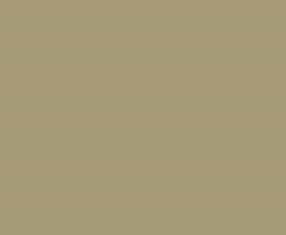 PMS451 Pantone Custom Spray Paint