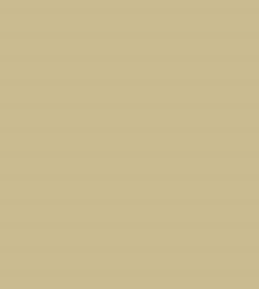 PMS4525 Pantone Custom Spray Paint