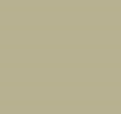 PMS452 Pantone Custom Spray Paint