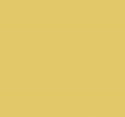 PMS458 Faint Yellow Pantone Custom Spray Paint 2K DTM Satin 300 Grams