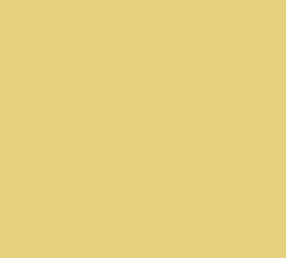 PMS459 Pantone Custom Spray Paint