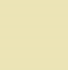 PMS461 Pantone Custom Spray Paint