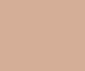 PMS4655 Pantone Custom Spray Paint