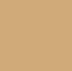 PMS465 Pantone Custom Spray Paint