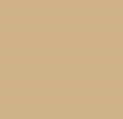 PMS466 Pantone Custom Spray Paint