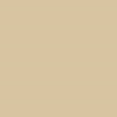 PMS467 Pantone Gloss Beige Enamel Custom Spray Paint 300 Grams